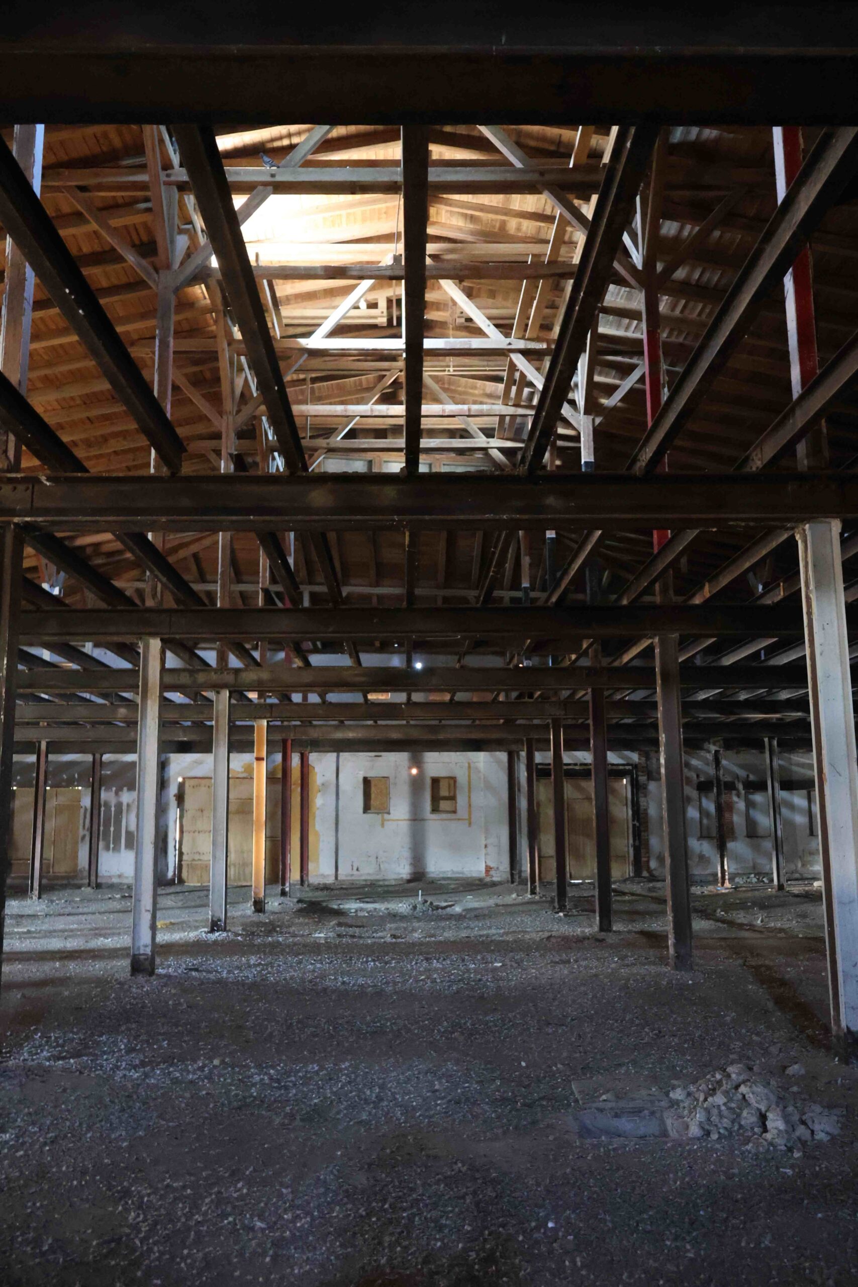 Adobe Express – file (24)