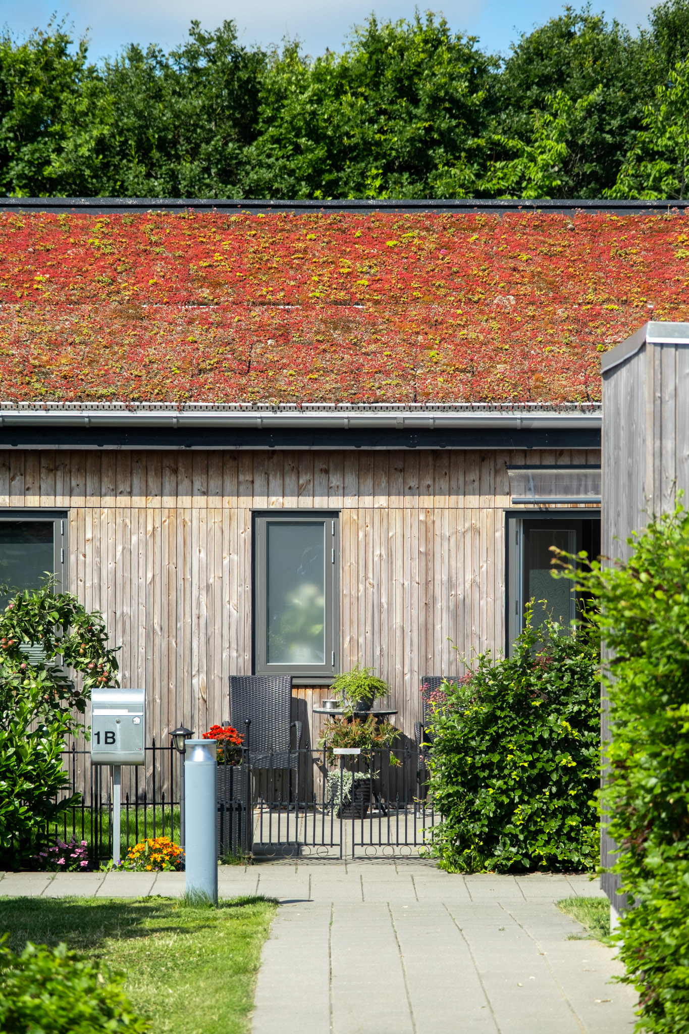 Hindbærkrattet-11
