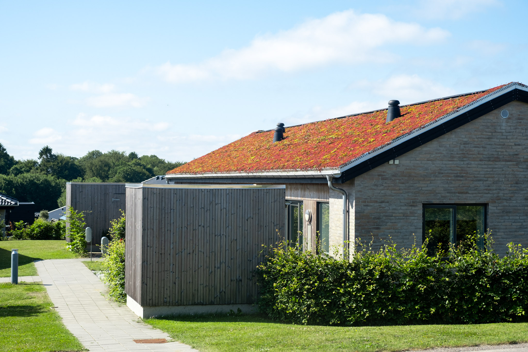 Hindbærkrattet-13