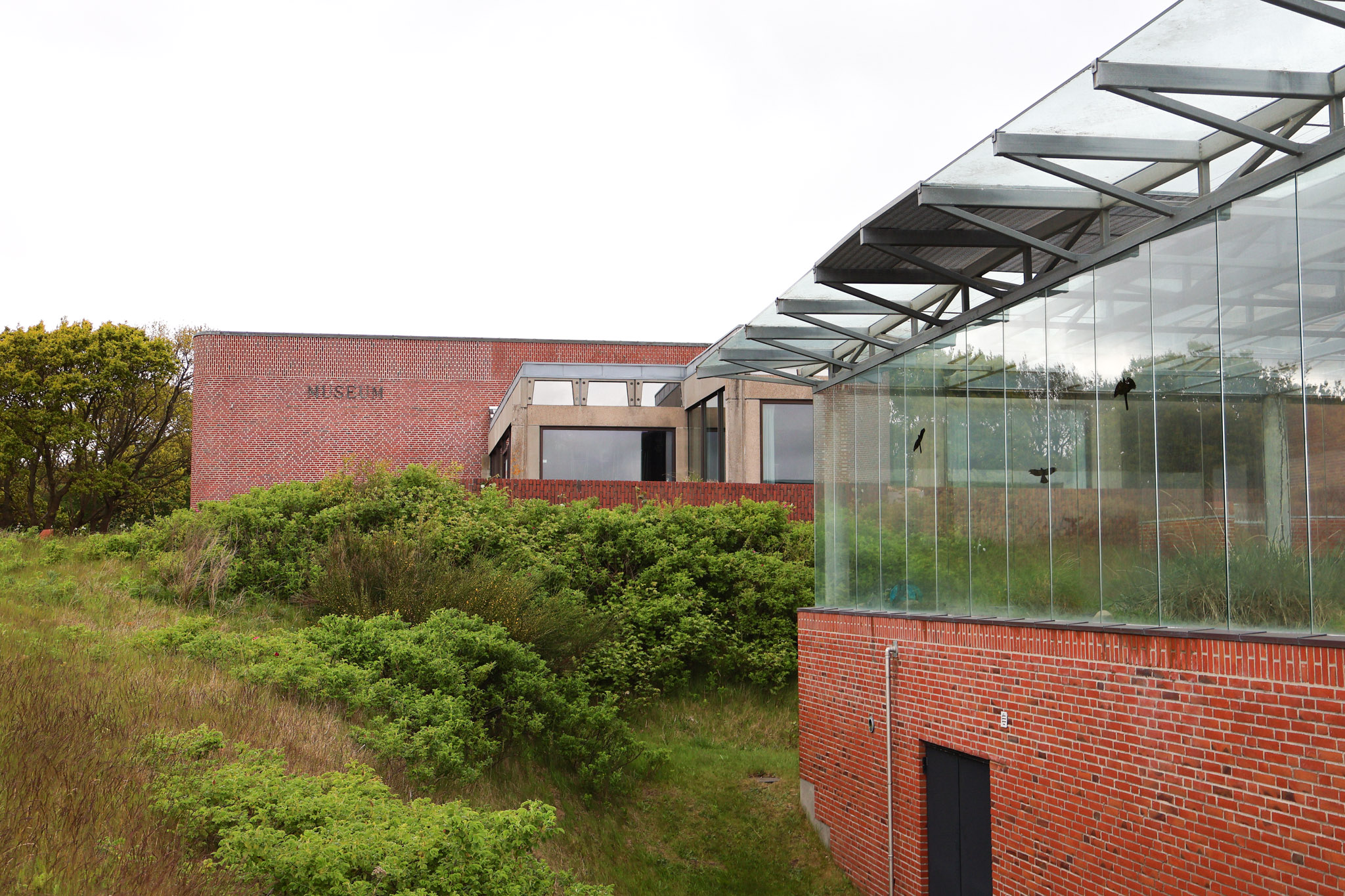 Danmarks museum for havet-16
