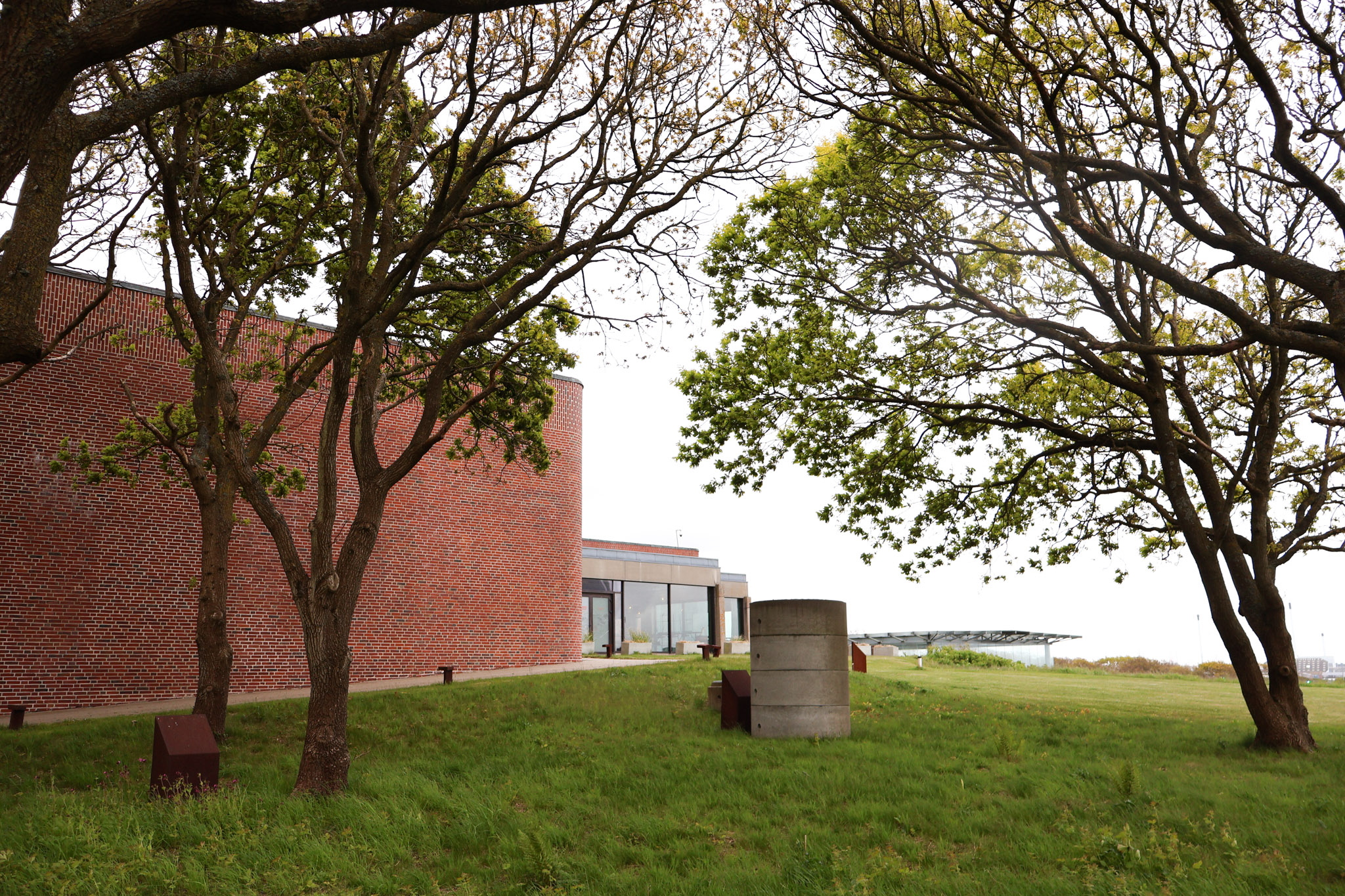 Danmarks museum for havet-20